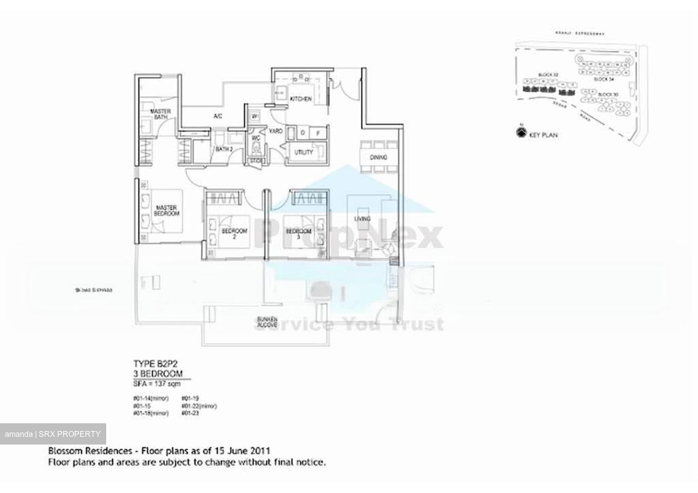 Blossom Residences (D23), Condominium #558889601